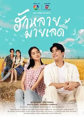 《亲爱的女士》：一部关于女性力量与自我救赎的感人佳作，看完泪崩！