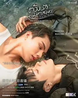 《海洋之恋》：一场蓝色治愈之旅，探寻人与自然的和谐共生