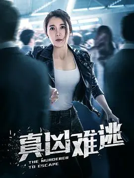 《真凶难逃》：迷雾重重，人性黑暗深渊的窒息追凶之旅，悬念迭起